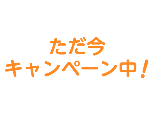 ただ今キャンペーン中
