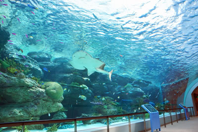 名古屋港水族館