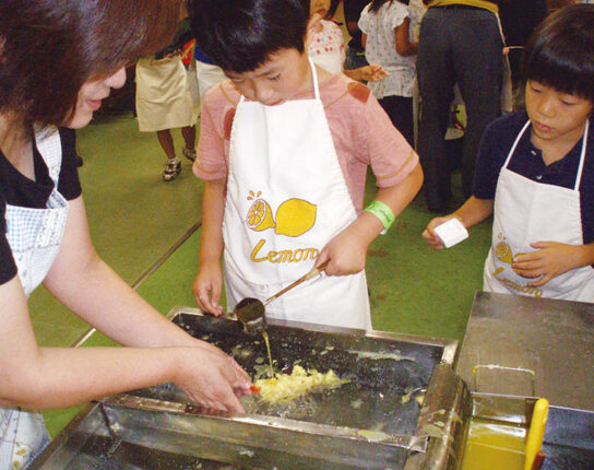 洞窟探検＆魚のつかみ取り体験＆食品サンプル作り体験