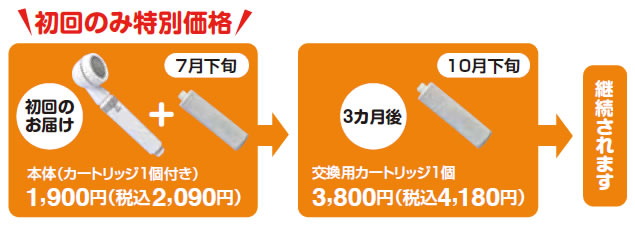 初回特別価格