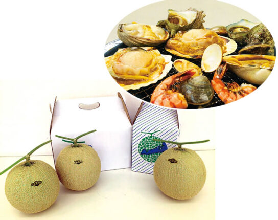メロン1玉狩り体験とお土産2玉付き！海鮮浜焼き食べ放題