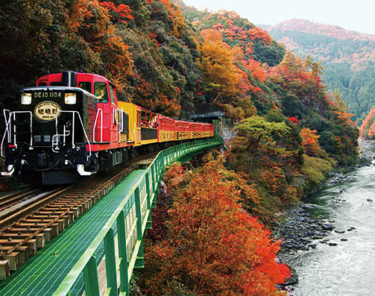 秋の嵯峨野トロッコ列車と京のおばんざい＆秋の味覚バイキング