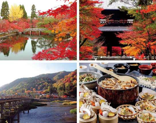 永観堂＆南禅寺＆嵐山と京のおばんざい＆秋の味覚バイキング