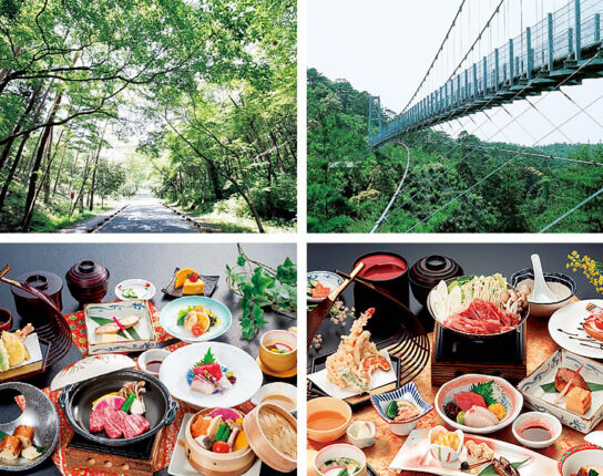森の家は30周年（静岡県浜松市 県立森林公園 森の家）