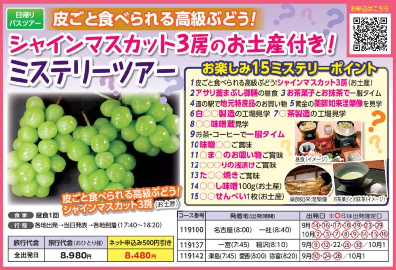 【JTN】シャインマスカット3房のお土産付き！ミステリーツアー