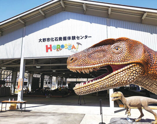 HOROSSA！で化石発掘体験＆キャンプ場でBBQ付き日帰りプラン