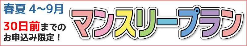 先どり！マンスリープラン（東京ディズニーリゾート 周辺の宿）4～9月