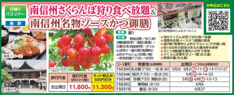 南信州さくらんぼ狩り食べ放題＆南信州名物ソースかつ御膳