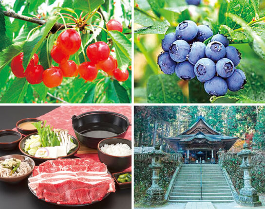 佐藤錦を含む！さくらんぼ＆ブルーベリーＷ狩り食べ放題と3種のしゃぶしゃぶ御膳