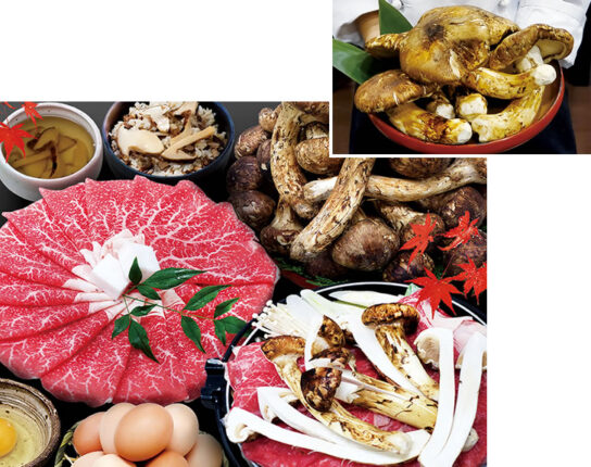 松茸・近江牛すき焼き食べ放題とカラフルな和傘物語