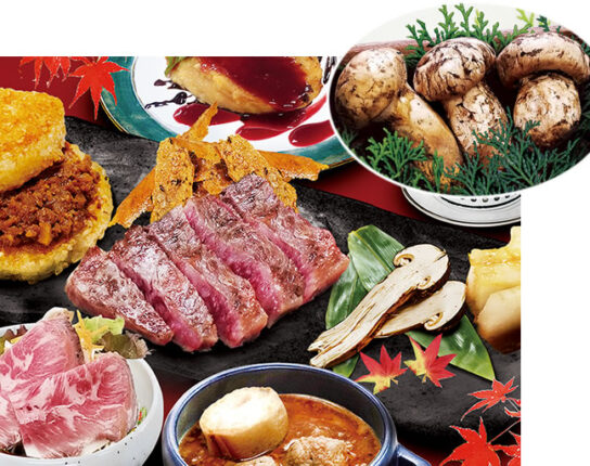 松茸 3本のお土産付き!松茸・近江牛ステーキ鉄板焼きランチとカラフルな和傘物語