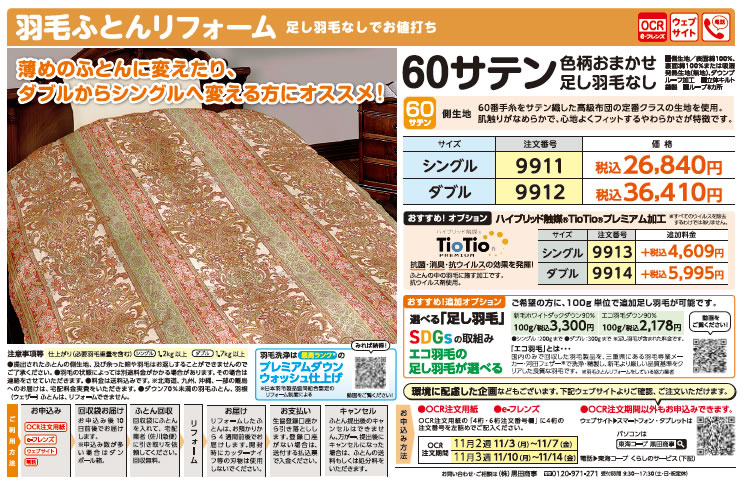 11月2週のチラシ