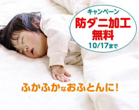ふとん丸ごと水洗い