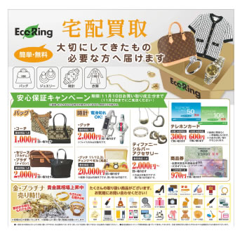 エコリングのチラシ（裏面）