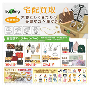 エコリングのチラシ（裏面）
