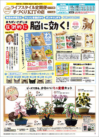 ライフスタイル定期便／手づくりKITの店（12月スタート号）