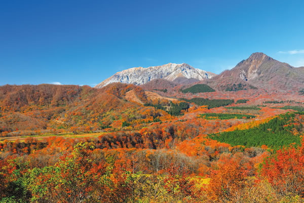 往復JR・新幹線のぞみ号で行く「山陽・山陰・四国」