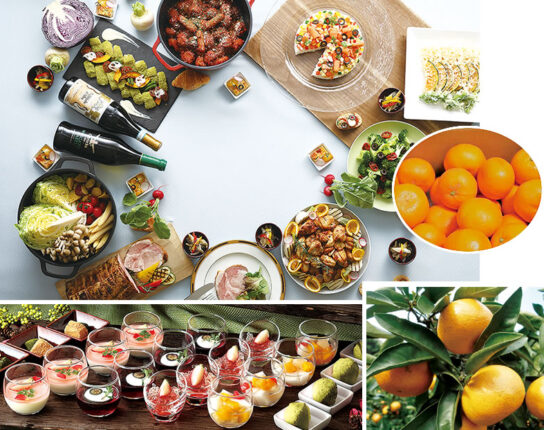 みかん狩り食べ放題＆ホテルで40種のイタリアンビュッフェ