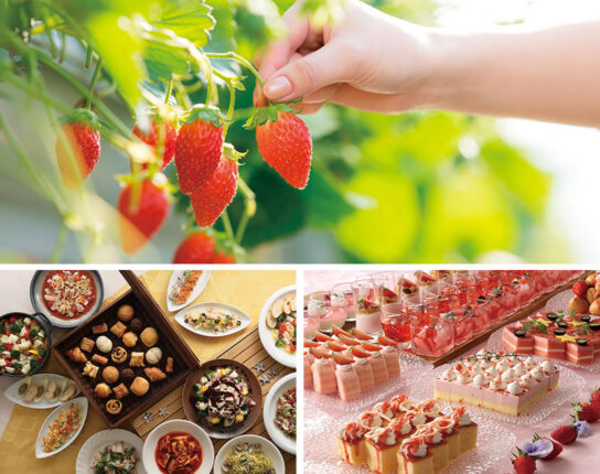 ロワジールホテル豊橋で苺スイーツ付きランチバイキングといちご狩り食べ放題