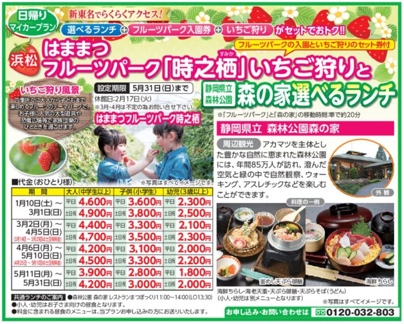 はままつフルーツパーク「時之栖(すみか)」いちご狩りと森の家 選べるランチ