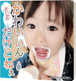 アルバムまめえほん「かわいいんだけどねぇ」