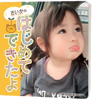 アルバムまめえほん「はじめてできたよ」