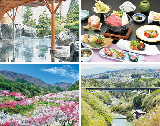 【コープみえのバス旅行】「花桃の里」と「そらさんぽ天竜峡」