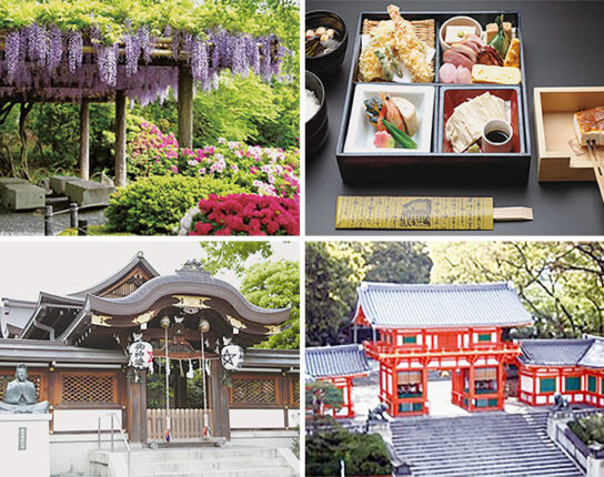 【コープみえのバス旅行】藤とつつじの城南宮と陰陽師の晴明神社