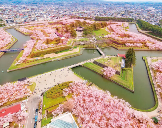 レンタカーでめぐる「みなみ北海道」4日間