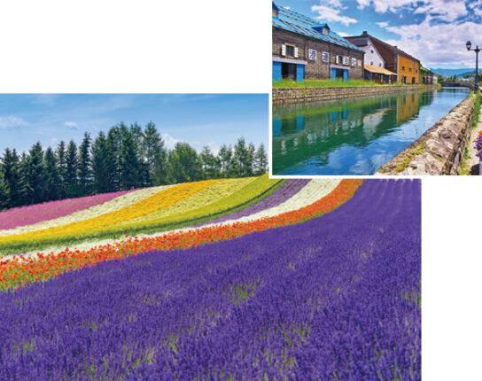 北海道フリープラン（3日間）