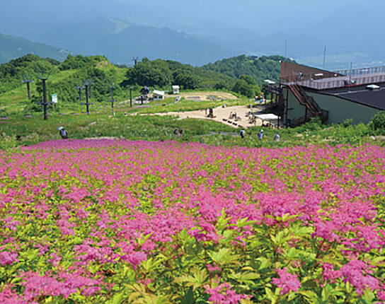 白馬でロングステイ（6日間）
