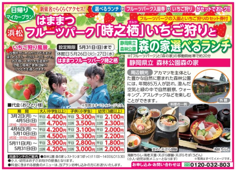 はままつフルーツパーク「時之栖(すみか)」いちご狩りと森の家 選べるランチ