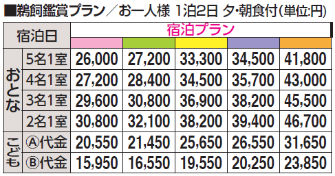 鵜飼8~10月の料金プラン