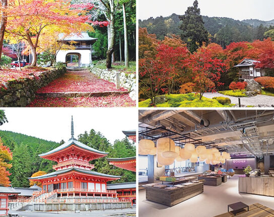 紅葉の古知谷・阿弥陀寺と比叡山延暦寺　LAGO大津でお買い物