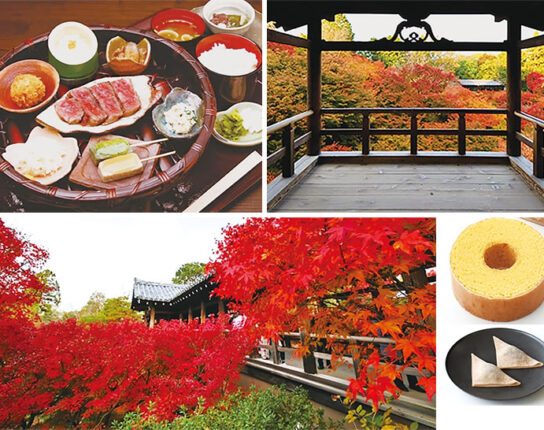 絶景紅葉の「東福寺」＆近江牛サーロインステーキ御膳