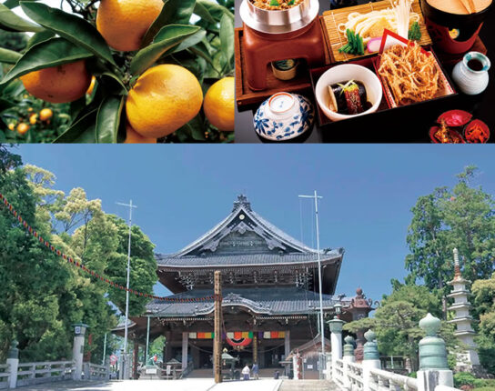 「豊川稲荷」本殿特別拝観付き＆ドーンとみかん3kg箱のお土産＆みかん狩り食べ放題