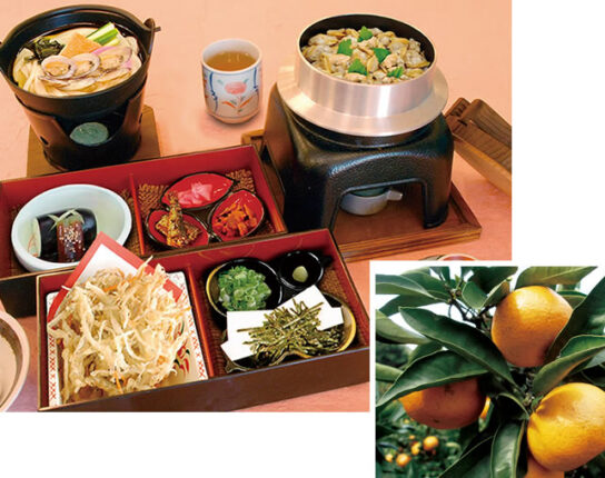 【JTN】みかん狩り食べ放題＆みかん3kgのお土産付き！釜めしランチ日帰りプラン