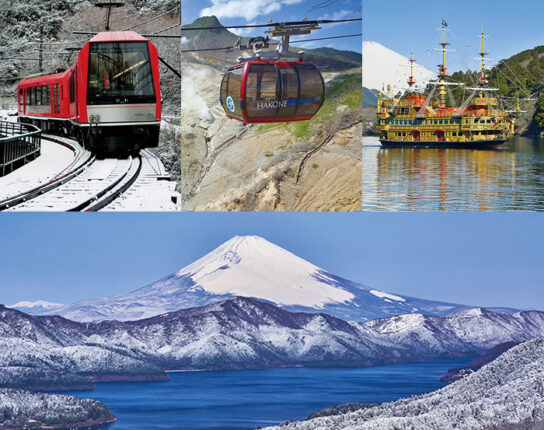 箱根大涌谷「ちきゅうの谷」＆芦ノ湖から望む雪化粧の富士山＆鎌倉大仏＆熱海温泉